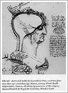 The History of Neurosurgery