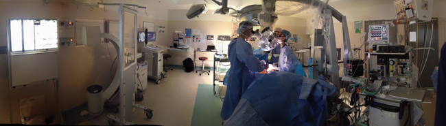 Neuro Spine Clinic, Dr Ralph Mobbs Neurosurgeon, NSW Australia